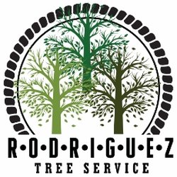 Rodriguez Tree Service