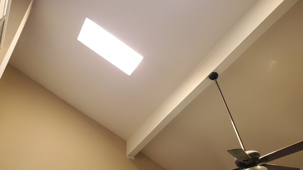 Austin Lone Star Services Logo