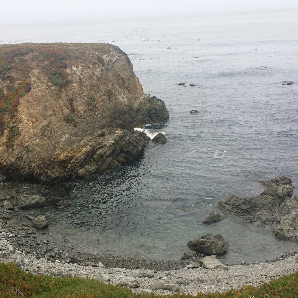 Shoreline Cottages - Views of our walk through the private access to the beach! - Hotels Near Me - Fort Bragg, California Shoreline Cottages - Views of our walk through the private access to the beach! - Hotels Near Me - Fort Bragg, California