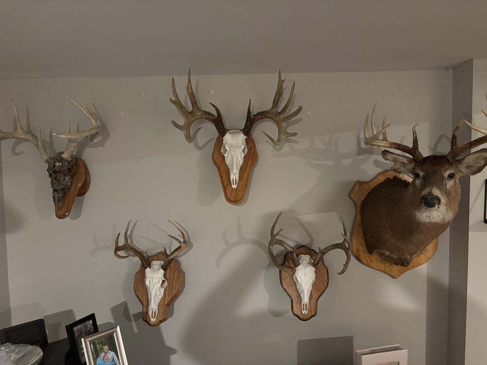 Jankowski Outdoors - taxidermy in Breesport, NY