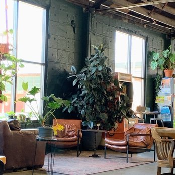 Blip Roasters - Lovely plants throughout - Coffee & Tea Near Me - Kansas City, Missouri Blip Roasters - Lovely plants throughout - Coffee & Tea Near Me - Kansas City, Missouri