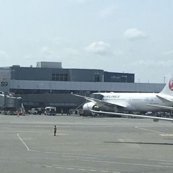 Japan Airlines - Tarmac View - Airlines Near Me - Seattle, Washington Japan Airlines - Tarmac View - Airlines Near Me - Seattle, Washington