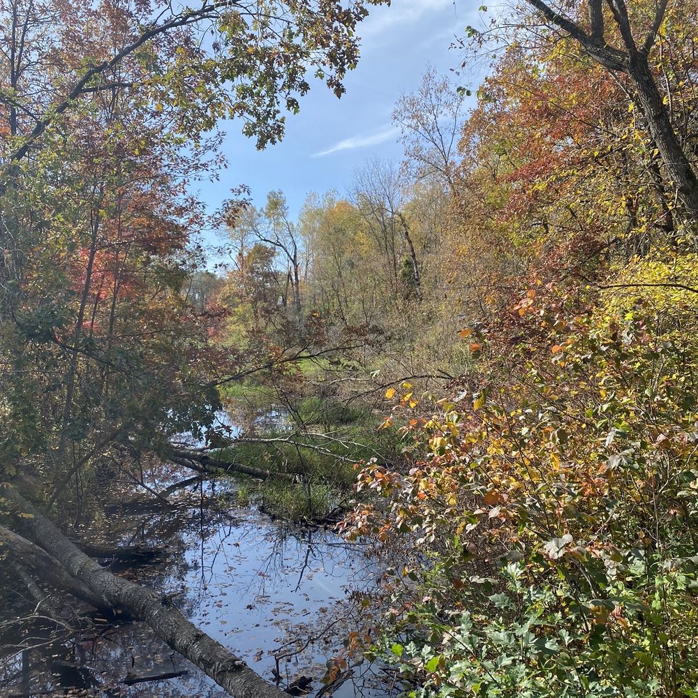 Sagamore Unit Mountain Bike Trails - Mountain Biking Near Me - Riverton, Minnesota