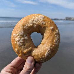 KPort Bagel - Sea Salt bagel!