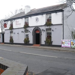 Bay Horse