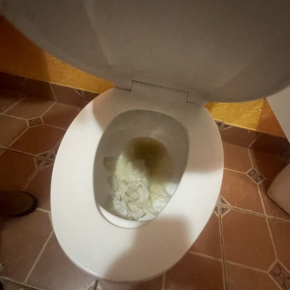 Cancun Mexican Restaurant & Grill - the inside of a toilet - Mexican Near Me - Hardy, Virginia Cancun Mexican Restaurant & Grill - the inside of a toilet - Mexican Near Me - Hardy, Virginia