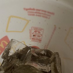 McDonald's - Flies inside the soda