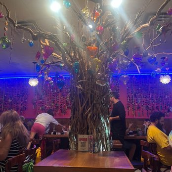 La Reyna - Authentic Mexican Cuisine - Mexican Near Me - Cooper City, Florida La Reyna - Authentic Mexican Cuisine - Mexican Near Me - Cooper City, Florida