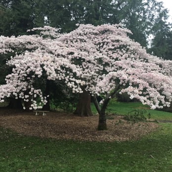 Washington Park Arboretum - Parks Near Me - Seattle, Washington Washington Park Arboretum - Parks Near Me - Seattle, Washington