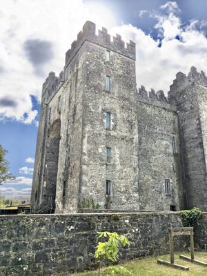 Bunratty Castle & Folk Park by null