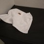 Photo of Holiday Inn Express & Suites Santa Clara - Silicon Valley