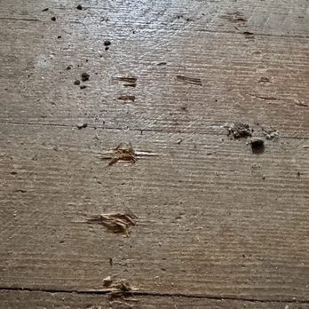 DMB Plumbing and Heating - Wood floor damaged from Dragging cast iron - Heating & Air Conditioning/HVAC Near Me