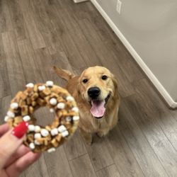 Woof Gang Bakery - Smores donut!