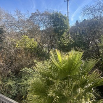 Four Points by Sheraton Santa Cruz Scotts Valley - View from patio (there's a small creek below) - Hotels Near Me - Scotts Valley, California Four Points by Sheraton Santa Cruz Scotts Valley - View from patio (there's a small creek below) - Hotels Near Me - Scotts Valley, California