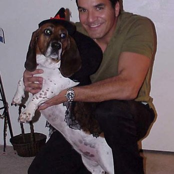 Alta Vista Veterinary Hospital - SUZY-Q BASSETT 2001-2012 - Veterinarians Near Me - Phoenix, Arizona