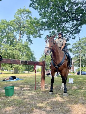 Jamaica Pond Park by null