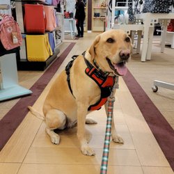 Dillard's