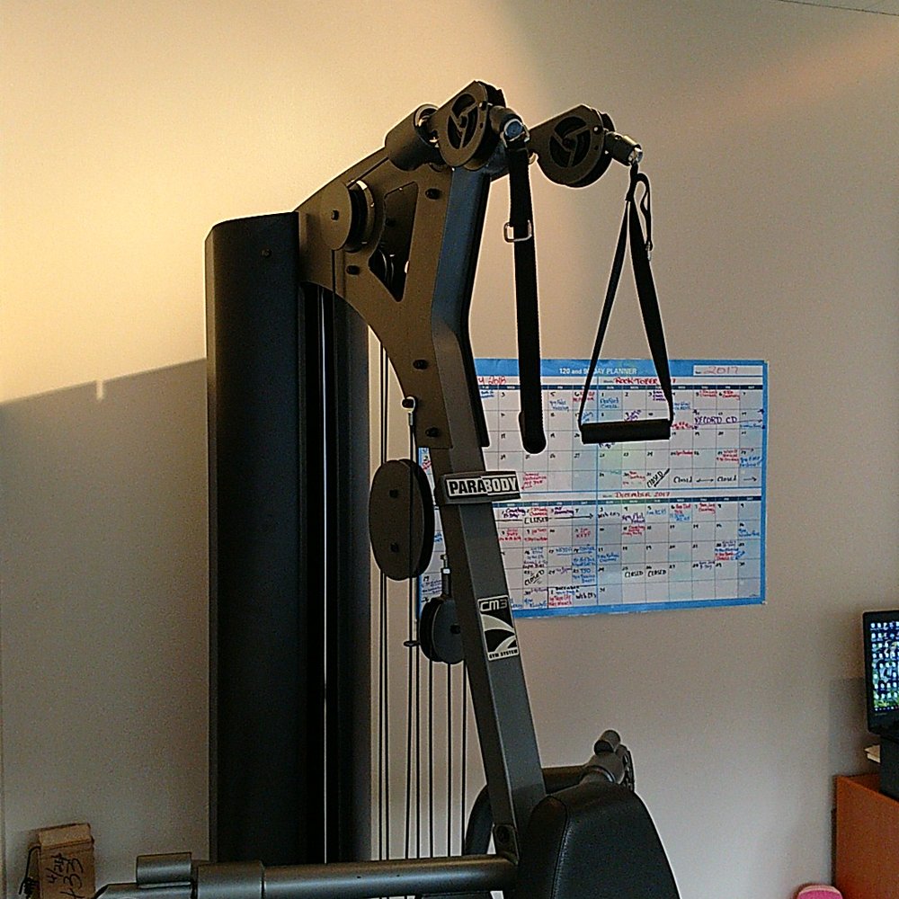Posture ReS.E.T. Program - Chiropractors Near Me - Bellevue, Washington