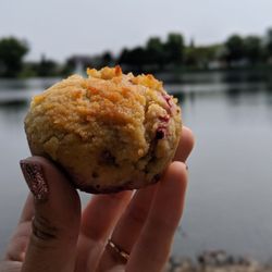 The Nut and Cranny - Raspberry Muffin