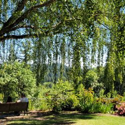 Pittock Mansion Gift Greeting Cards Email, Text or Print