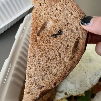 Freshería - Lame stale bread - Salad Near Me - San Diego, California Freshería - Lame stale bread - Salad Near Me - San Diego, California