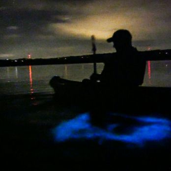 Taino Aqua Adventures - One of my costumers paddling in the brightest Bio bay in the world. - Rafting/Kayaking Near Me Taino Aqua Adventures - One of my costumers paddling in the brightest Bio bay in the world. - Rafting/Kayaking Near Me