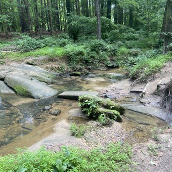 Durant Nature Park - Parks Near Me - Raleigh, North Carolina Durant Nature Park - Parks Near Me - Raleigh, North Carolina