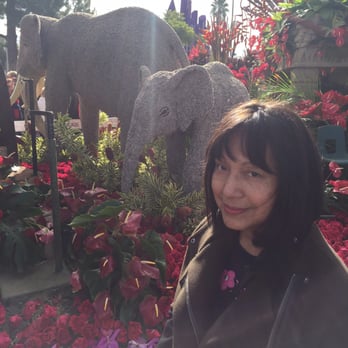 Mountain Home Carpet Center - Standing next to rose parade float - Carpeting Near Me - Rimforest, California Mountain Home Carpet Center - Standing next to rose parade float - Carpeting Near Me - Rimforest, California