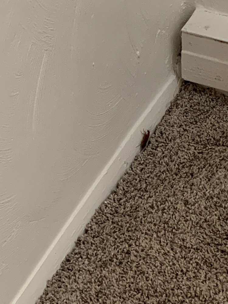 HARBOR SQUARE APARTMENTS 10 Photos 923 Randolph St, Portsmouth, Virginia Apartments