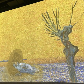 Immersive Van Gogh Exhibit - Art Galleries Near Me - Las Vegas, Nevada Immersive Van Gogh Exhibit - Art Galleries Near Me - Las Vegas, Nevada