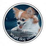 Wyatt Dog Sitting - pet boarding facility in Oklahoma City, OK