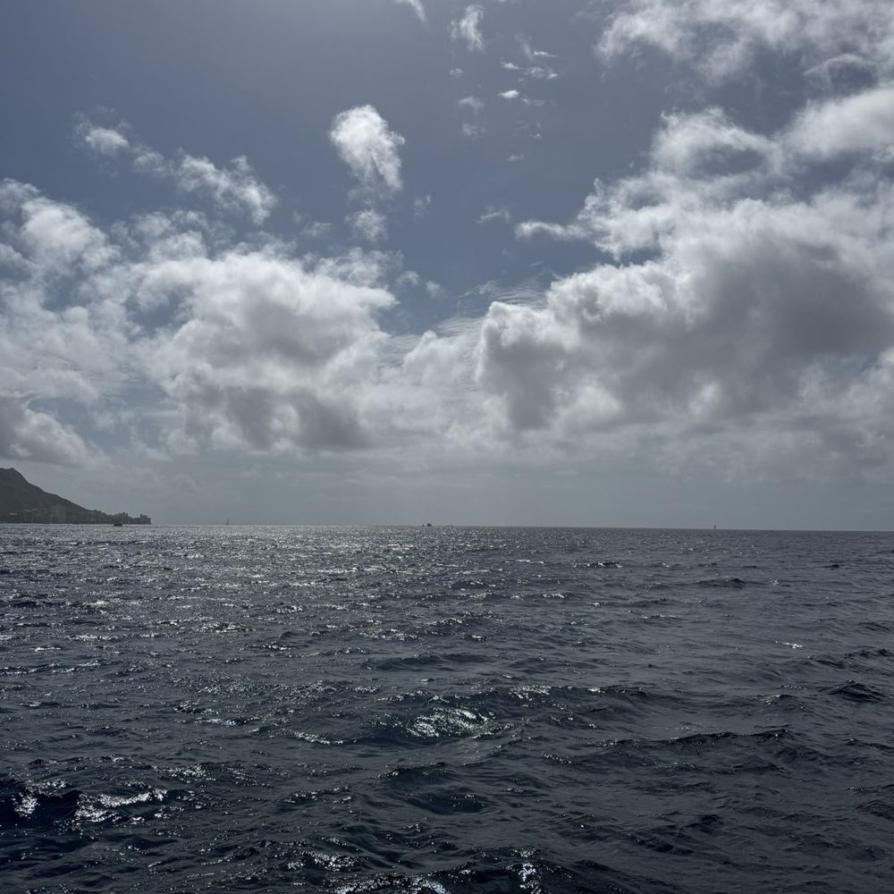 Living Ocean Tours - Snorkeling Near Me - Honolulu, Hawaii Living Ocean Tours - Snorkeling Near Me - Honolulu, Hawaii