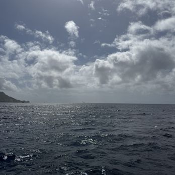 Living Ocean Tours - Snorkeling Near Me - Honolulu, Hawaii Living Ocean Tours - Snorkeling Near Me - Honolulu, Hawaii