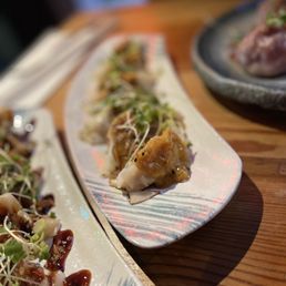 Chicken Dumplings