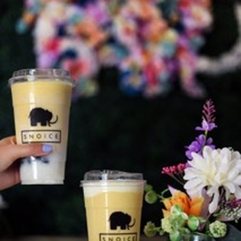 Snoice - Bubble Tea Near Me - Spring Valley, California Snoice - Bubble Tea Near Me - Spring Valley, California