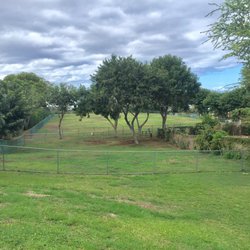Nice grassy park with ocean view, and two different sized enclosures for different size dogs I suppose.
