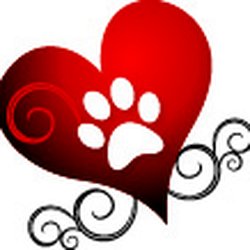 Pawsitively Loved Luxury Services