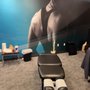 The Joint Chiropractic