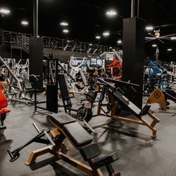 Why GYM