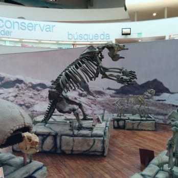 Museo de Ciencias Naturales - Dinosaur fossils in the foyer. - Museums Near Me - Córdoba, X