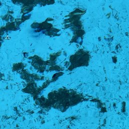 The pool is so dirty.  Even after I brought it up with the staff, nothing was cleaned.