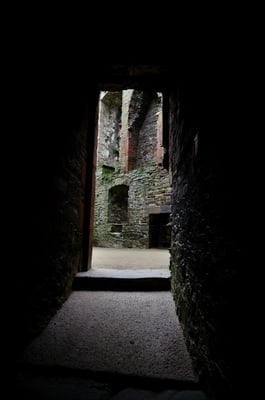 Conwy Castle by null