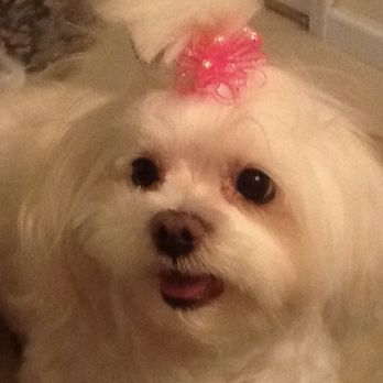 Pet Passages - Charlotte, NC - Pebbles - Pet Cremation Services Near Me - Indian Trail, North Carolina Pet Passages - Charlotte, NC - Pebbles - Pet Cremation Services Near Me - Indian Trail, North Carolina