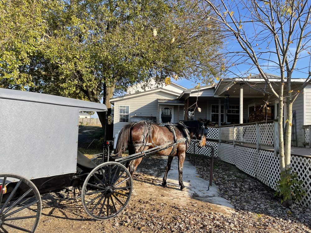 LOCUST GROVE DRYGOODS 15 Photos 9830 N Ryceville Rd, Mechanicsville