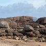 Photo of Trégastel - Côte de Granit Rose