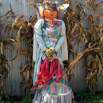 Have Fun @ Howells - a scare with a pumpkin on her head - Donuts Near Me - Fonthill, Ontario