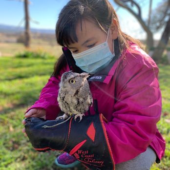 West Coast Falconry - Wee Hamich - Specialty Schools Near Me - Marysville, California West Coast Falconry - Wee Hamich - Specialty Schools Near Me - Marysville, California