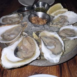 Oysters - Cotuit