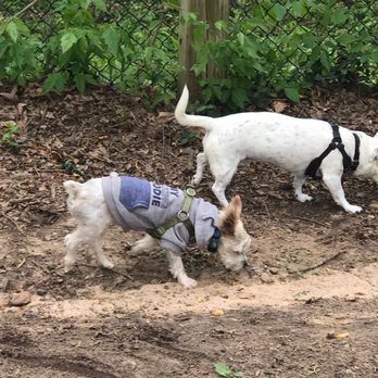 Barker Field - Dog Parks Near Me - Richmond, Virginia Barker Field - Dog Parks Near Me - Richmond, Virginia
