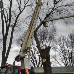 Leaf It To Us Total Tree Care Plus - Crane and Bucket truck at work